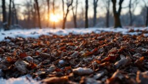 Jardin : ce matériau gratuit posé sur la terre en hiver évite les mauvaises herbes et un sol dur comme du béton