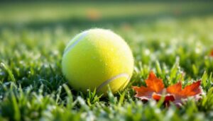 Voici pourquoi certains laissent une balle de tennis dans leur jardin l'hiver - une astuce peu connue mais très utile