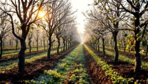 Ceux qui plantent ces fruitiers en janvier ont toujours une longueur d’avance sur les autres